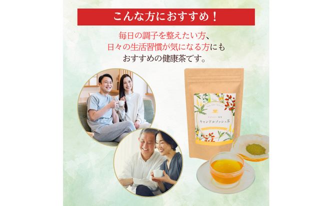 ブレンド健康茶 スリムすっきり茶 243g 90個（2.7g×5個×6ピロー×3袋） 312011_FM001