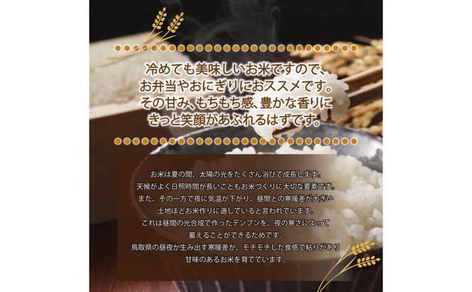 1082.令和7年産　きぬむすめ精米 5kg 313726_CG001