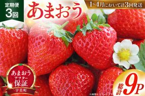 【期間限定発送】 いちご 定期便 あまおう 3p 3回 総計9p [THE FARM_strawberry 福岡県 宇美町 um40azo780004] イチゴ 苺 フルーツ 果実 甘い 小分け