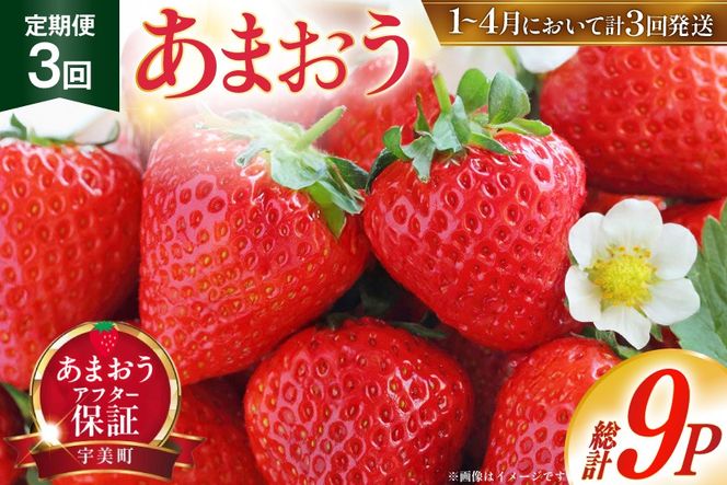 yFzyԌ蔭z   ܂ 3p 3 v9p [THE FARM_strawberry  F um40azo780004] C`S  t[c ʎ Â 