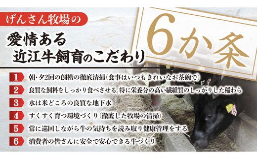 【げんさん】【A4等級以上】近江牛モモすき焼用切落し 250g【DG22W】
