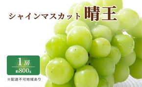 ぶどう 2027年 先行予約 特選 シャイン マスカット 晴王 1房 約800g ブドウ 葡萄  岡山県産 国産 フルーツ 果物 ギフト いろは堂