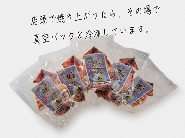 わさおの店の炭火焼きいか 5パック 200g以上×5枚 魚貝類 イカ 加工食品 