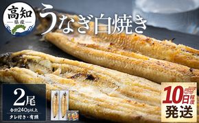 うなぎ 白焼き 【10日程度で発送】高知県産鰻の白焼き120～130ｇ 2尾 蒲焼きのタレ2袋 エコ包装 yw-0126