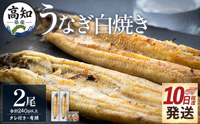 うなぎ 白焼き 【10日程度で発送】高知県産鰻の白焼き120～130ｇ 2尾 蒲焼きのタレ2袋 エコ包装 yw-0126
