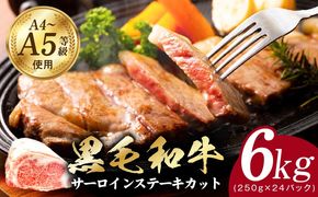 G3645-1 A5/A4ランク 黒毛和牛 サーロインステーキカット 合計6kg（250g×24P）【極味付け肉】