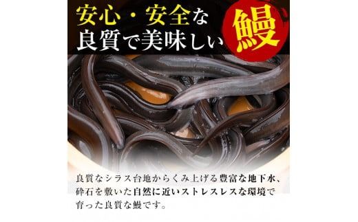 鹿児島県産うなぎ蒲焼 名水慈鰻 20尾(1尾約160g)＜計約3.2kg＞ wa4-001