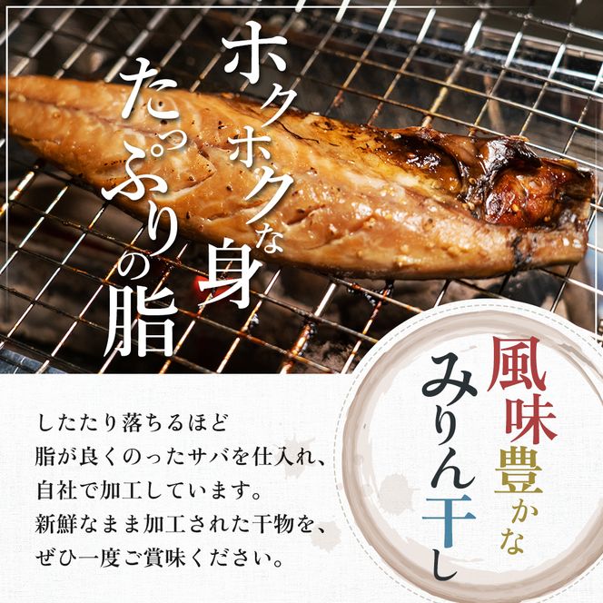 とろサバ 干物 6枚 お試し ハーフサイズ おひとり様 簡単調理 冷凍保存　1枚約200g前後×6枚　合計約1.2kg前後