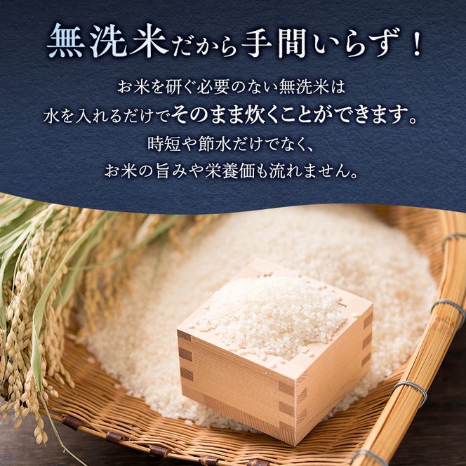 6ヵ月 定期便 銀山米研究会の無洗米＜ななつぼし＞10kg（5kg×2袋） ライス 白米 精米 ブランド米 おにぎり お弁当 北海道産 産地直送 ご飯 時短 朝ごはん 夜ごはん 昼ごはん [株式会社 松原米穀]