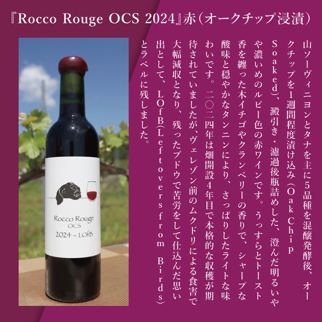 3種の2024ものハーフボトルセット～行方市内の自社畑ぶどう（2024年収穫）で醸造したワイン～｜ワイン  ボトルワイン 酒 お酒 酒類 赤ワイン スパークリングワイン ボトル ぶどう セット ワインセット 茨城県 行方市(GQ-8)