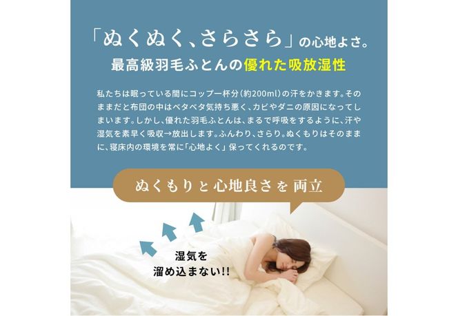 【Sybilla】羽毛合い掛けふとん（シングル） ※選べる5柄 【創業100年】 合掛け シングル 合掛け布団 羽毛布団 掛け布団 山梨 富士吉田