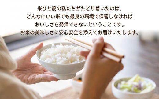 令和8年産 茨城県産にじのきらめき 精米 10kg（5kg×2袋） ※離島への配送不可 ※2026年10月～発送