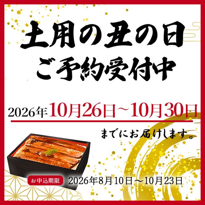 大型サイズ　ふっくら柔らか　国産うなぎ蒲焼き　１尾（約2人前）化粧箱入【秋土用の丑の日のうなぎ】【～10月30日までにお届け】 303446_XF91092-GFT