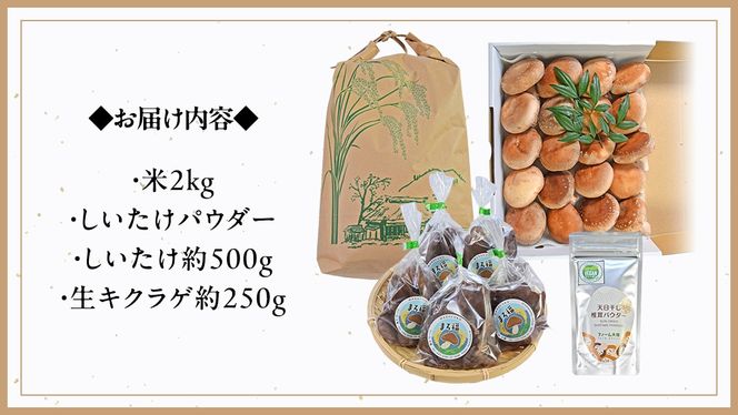 【 ファーム大畑 】お楽しみセット 米 お米 しいたけパウダー しいたけ 椎茸 まろ福しいたけ きくらげ [AK001ci]