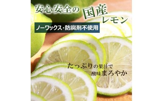 【先行予約】レモン 約3kg 8～15個〈2026年10月下旬～12月上旬頃発送〉  /  璃の香レモン 果物 くだもの 柑橘 フルーツ れもん お取り寄せ 産地直送 おいしい 美味しい 白木果樹園 常温 配送 高知県 高知 土佐市【白木果樹園】 [BQAI025]