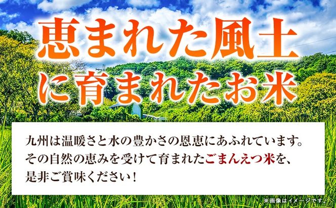 【18ヶ月定期便】 米 無洗米 ごまんえつ米 10kg 5kg×2袋 米 こめ 定期便 家庭用 備蓄 熊本県 長洲町 くまもと ブレンド米 熊本県産 訳あり 常温 配送 《お申込み翌月から出荷》---ng_gmntei_10kg_304200_mo18---