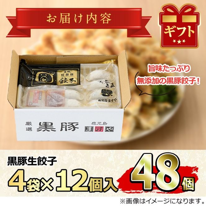 【0125122a】鹿児島黒豚生餃子セット(12個入×4パック・計48個)黒豚 豚肉 ぶた肉 餃子 ギョウザ ぎょうざ 惣菜【鹿児島ますや】