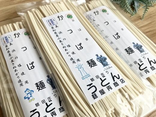かっぱ麺　うどん　1箱14袋入り ≪ウドン 饂飩 美浜の塩 愛知県 特産品≫◆