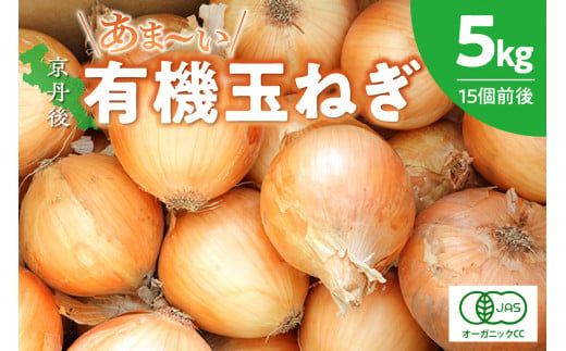 ys{Oszys\zs OY ÂL@ʂ˂ 5LyL@JAS擾zi2026N6{`j@DE00139