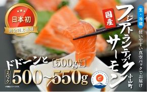 4A27フジアトランティックサーモン（２パック）