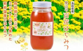 里山の百花蜂蜜 312011_AK001