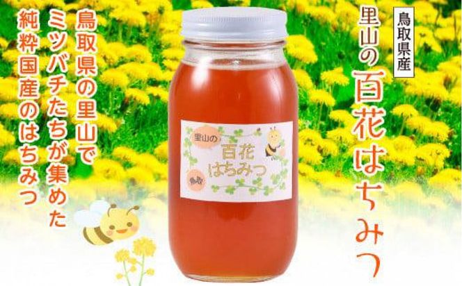 里山の百花蜂蜜 312011_AK001