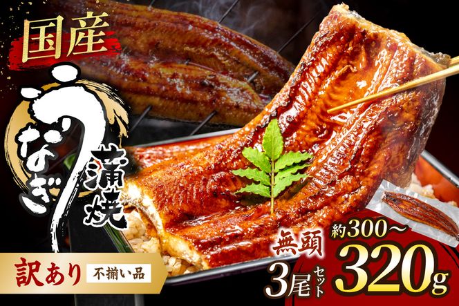 【訳あり】老舗魚屋のこだわり国産鰻 うなぎの蒲焼き3尾セット【魚住商店】_HA1997 うなぎ 国産 こだわり 丑の日 おいしい 福岡県宗像市 宗像市 福岡 宗像
