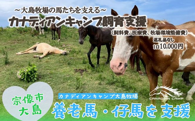 【返礼品なし】引退馬・仔馬の飼育支援 10,000円【カナディアンキャンプ乗馬クラブ】_HA2056 馬 仔馬 飼育支援 牧場 福岡県宗像市 宗像市 福岡 宗像