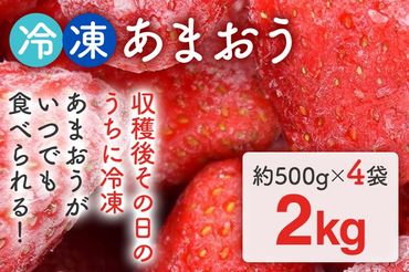 福岡県産【博多冷凍あまおう】 約2kg 産地直送 産直 朝採れ 朝採り 新鮮 瞬間冷凍 いちご イチゴ 苺 お取り寄せグルメ お取り寄せ 福岡 お土産 九州 福岡土産 取り寄せ グルメ 福岡県 ※北海道・沖縄・離島は配送不可