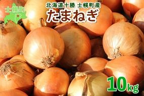 【CF】《期間限定》北海道 士幌産 たまねぎ 玉ねぎ タマネギ 玉ネギ 玉葱 10kg (2025年12月～発送開始予定)  採れたて オニオン 旬の野菜 期間限定 新鮮 野菜 産地直送 産直 お取り寄せ 送料無料 十勝 士幌町 9000円 【V07】