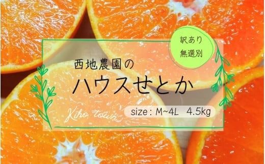 【先行予約】ご家庭用 訳あり 西地農園のハウスせとか 4.5kg M～4Lサイズ混合 無選別【2025年2月中旬より順次発送】 / 手選別 せとか ハウスせとか L M みかん ミカン 蜜柑 柑橘 果物 くだもの フルーツ 産地直送 訳あり 訳アリ 家庭用 ご家庭用【mnd009】