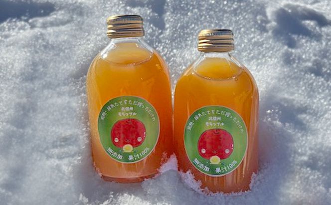 もちっプルのりんごジュース 果汁100% 250ml×6本 りんごジュース ジュース 飲料 100%果汁 サンふじ 山ノ内町 もっちーの畑
