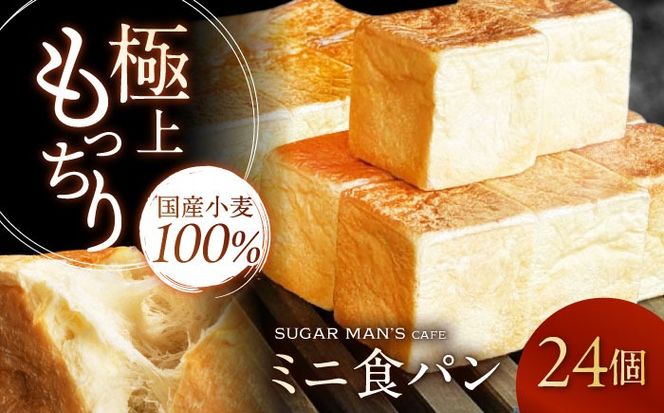 y茧쓇szyY100%z ~jHp 24 / Hp Wސ p Hp / 쓇s / sugar man's cafe[SEU008]