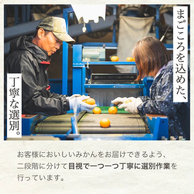 濃厚完熟！ 有田みかん 約5kg (2S～Lサイズ混合 家庭用) _BG6106n