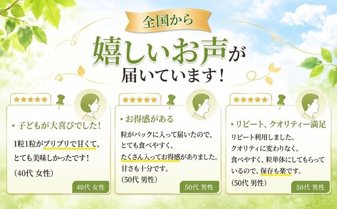 【2027年発送】 シャインマスカット 粒 山梨県産 選べる4容量 約500g 約1.3kg 約1.5kg 約2.0kg ｜シャインマスカット ぶどう 　葡萄　ブドウ　山梨県　都留市 くだもの　果物 フルーツ 大人気 送料無料 粒のまま FB022_056