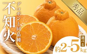 不知火（デコポン同品種） 選べる 内容量 約2kg～約5kg 日本フルーツ株式会社 熊本県 長洲町 《2026年1月下旬-2月末頃出荷予定》 デコポン 果物 秀品 フルーツ スイーツ デザート ギフト ご贈答---sn_nfsrn_cf1_25_8500_2kg---