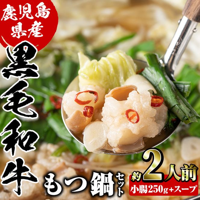 鹿児島県産黒毛和牛小腸使用！もつ鍋セット(約2人前分)国産 モツ モツ鍋 ホルモン 牛肉 出汁 醤油ベース 惣菜 おかず【和食処まきや】akn065-01