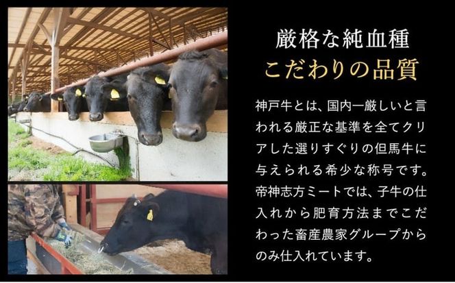 神戸牛 生ハンバーグ （100g×9個） 【帝神志方ミート】