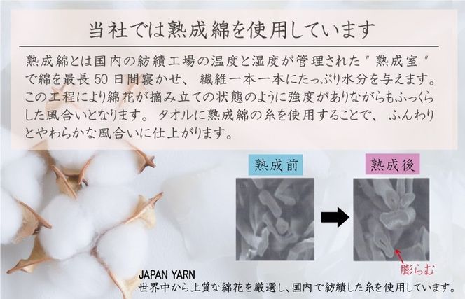 knt0080 家事がラクになるバスタオル 4枚【グレージュ 泉州タオル 高品質 綿100％ 日本製 国産 単色 シンプル】