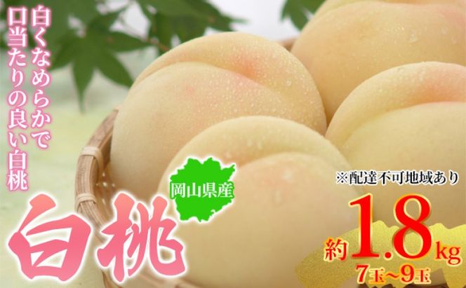 桃 2026年先行予約 岡山県産 白桃 約1.8kg 7～9玉 お届け 7月上旬～7月下旬