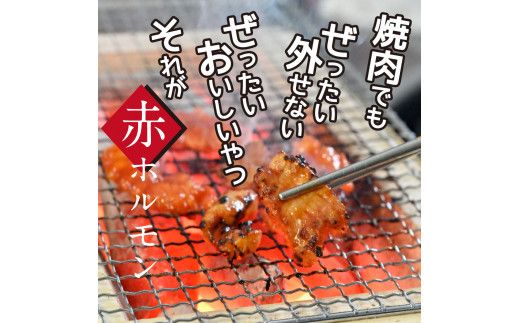 【CF-R7hbk】TKA003　赤ホルモン 天下味オリジナル本格コチュジャンダレ漬け（150g×６パック） 高知市共通返礼品 人気 牛肉 お肉 小腸 焼き肉 タレ 焼肉 BBQ バーベキュー 冷凍 小分け おつまみ どんぶり お手軽 食べて応援