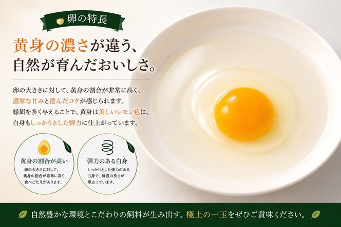【限定50セット】標茶の恵み「平飼い 純国産 岡崎おうはん　こだわりの卵１箱 10個入り1セット」 016641_BT002