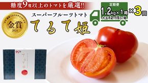 【 先行予約 】【 3ヶ月 定期便 】 てるて姫 中箱 約1.2kg × 1箱 【12〜15玉/1箱】 糖度9度 以上 野菜 フルーツトマト フルーツ トマト とまと [AF049ci]