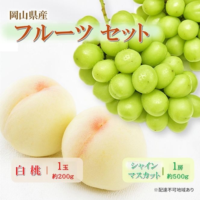 岡山県産 フルーツセット(シャインマスカット1房・白桃1玉)  果物 フルーツ 詰め合わせ ぶどう ブドウ 葡萄 シャインマスカット 桃 白桃 国産
