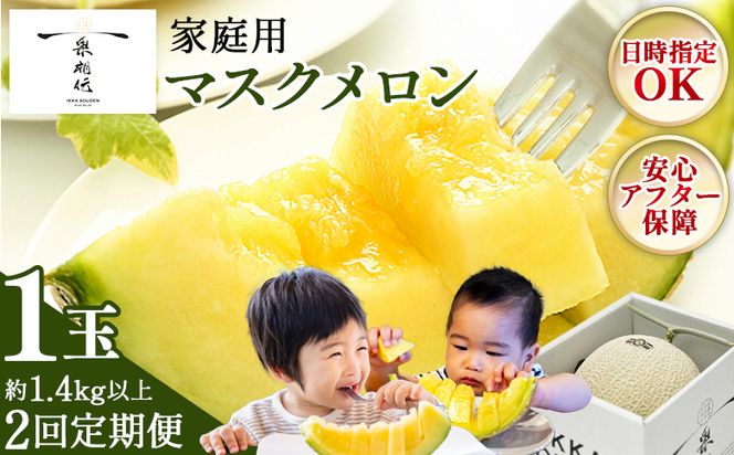 【２回定期便】一果相伝マスクメロン 家庭用 1玉入り めろん 青肉 自宅用 ジューシー 果汁 至福 美味しい 甘い あまい 篤農 産地直送 高知県 香南市 常温 Wtn-0057