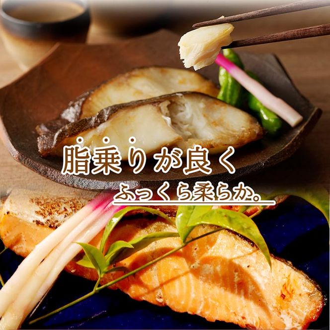 和歌山魚鶴仕込みのだし漬け天然銀だら切身6切＆銀鮭切身6切（真空パック入）小分け ※離島への配送不可