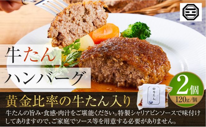 ぶつぎりたんちゃん特選セット（牛たんハンバーグ、牛たんシチュー、燻製牛たん、炭焼チャーシュー、自家製ローストビーフ、牛たんとホルモンのどて煮） 372013_HX004