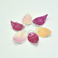 ブーゲン箸置き (5つセット) 箸置き はしおき おしゃれ カトラリー ギフト 沖縄市 / 株式会社東南植物楽園[BCBY010]