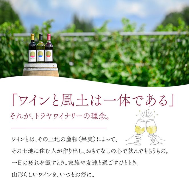 FYN6-230 【月山トラヤワイナリー】 月山山麓 赤ワイン 360ml×2 山形県産 ぶどう使用 赤 ワイン 洋酒 酒 ハーフボトル ミニボトル 山形県 西川町 月山