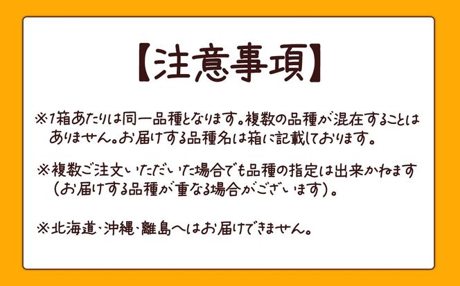【先行予約】朝採りとうもろこし 10㎏ お楽しみボックス（その他）